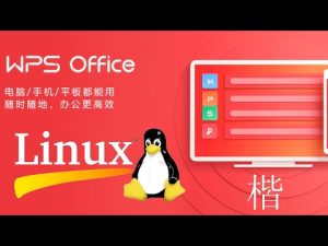 2025年Ubuntu如何下载WPS？