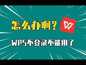 WPS怎么下载不了？2025有效解决办法