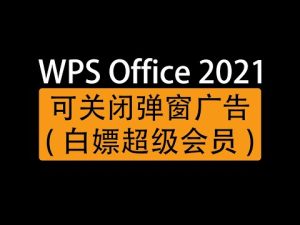 WPS怎么下载免费素材？