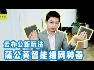 2025年网吧电脑怎么下载WPS？