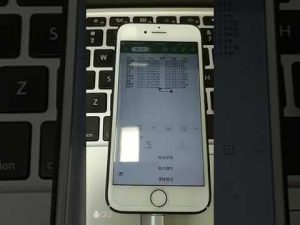 2025年苹果手机怎么下载WPS？